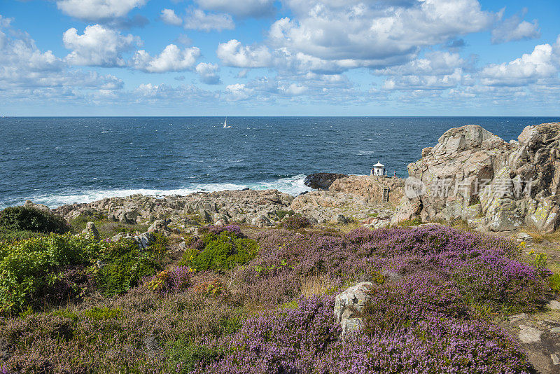 Rocky coastline of northern Skane